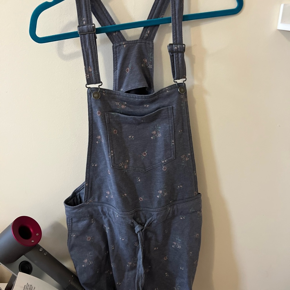 Wallflower overalls